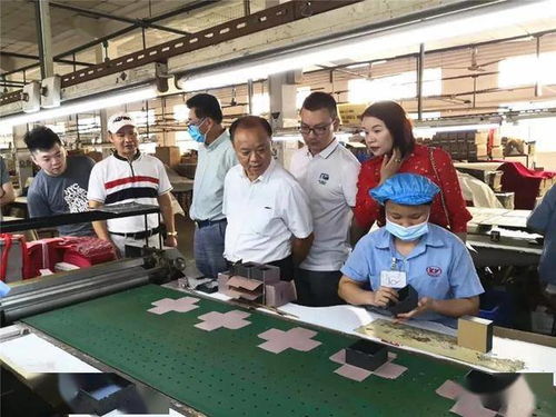 肇慶市僑聯深入僑青企業走訪調研